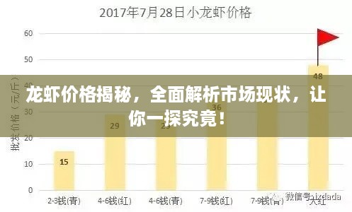 龍蝦價格揭秘，全面解析市場現(xiàn)狀，讓你一探究竟！
