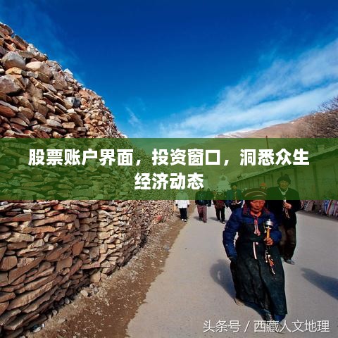 股票賬戶(hù)界面，投資窗口，洞悉眾生經(jīng)濟(jì)動(dòng)態(tài)