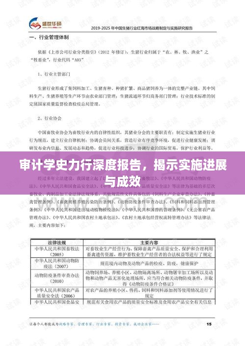 審計(jì)學(xué)史力行深度報(bào)告，揭示實(shí)施進(jìn)展與成效