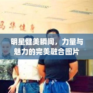 明星健美瞬間，力量與魅力的完美融合圖片展示