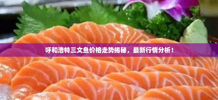 呼和浩特三文魚(yú)價(jià)格走勢(shì)揭秘，最新行情分析！