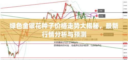 綠色金銀花種子價格走勢大揭秘，最新行情分析與預(yù)測