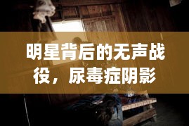 明星背后的無聲戰(zhàn)役，尿毒癥陰影下的星光挑戰(zhàn)