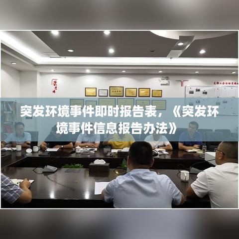 突發(fā)環(huán)境事件即時報告表，《突發(fā)環(huán)境事件信息報告辦法》 