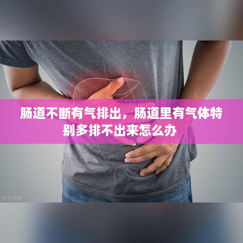 腸道不斷有氣排出，腸道里有氣體特別多排不出來(lái)怎么辦 