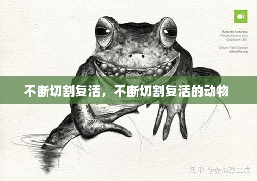 不斷切割復(fù)活，不斷切割復(fù)活的動物 