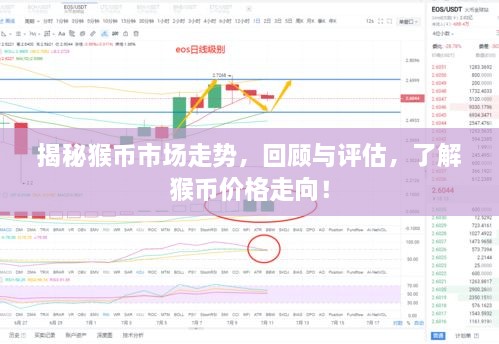 揭秘猴幣市場走勢，回顧與評估，了解猴幣價格走向！