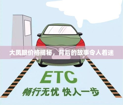 大鳳眼價(jià)格揭秘，背后的故事令人著迷