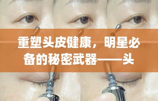 重塑頭皮健康，明星必備的秘密武器——頭皮精華