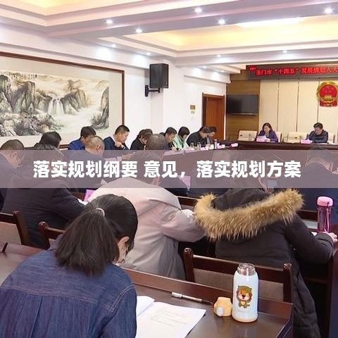 落實(shí)規(guī)劃綱要 意見(jiàn)，落實(shí)規(guī)劃方案 
