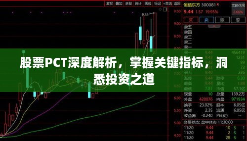 股票PCT深度解析，掌握關(guān)鍵指標(biāo)，洞悉投資之道