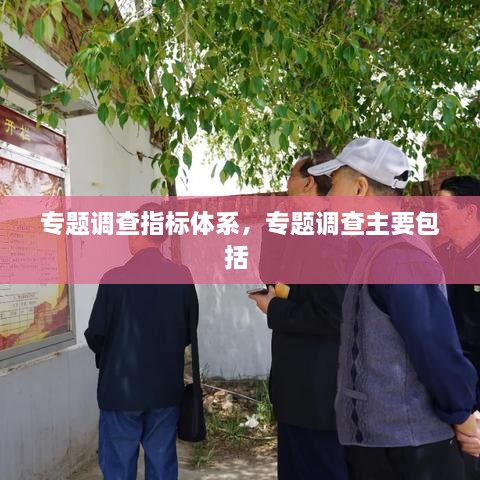 專題調查指標體系，專題調查主要包括 
