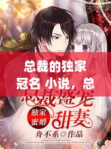 總裁的獨(dú)家冠名 小說，總裁的獨(dú)家盛寵全文免費(fèi)閱讀 