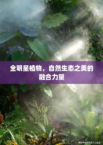 全明星植物，自然生態(tài)之美的融合力量