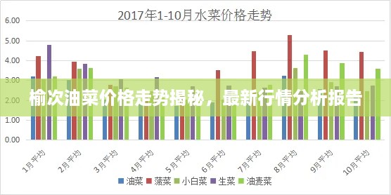 榆次油菜價(jià)格走勢(shì)揭秘，最新行情分析報(bào)告