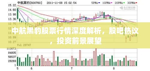 中航黑豹股票行情深度解析，股吧熱議，投資前景展望