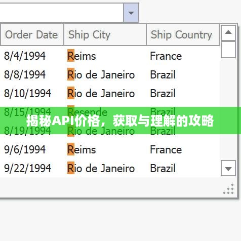 揭秘API價格，獲取與理解的攻略
