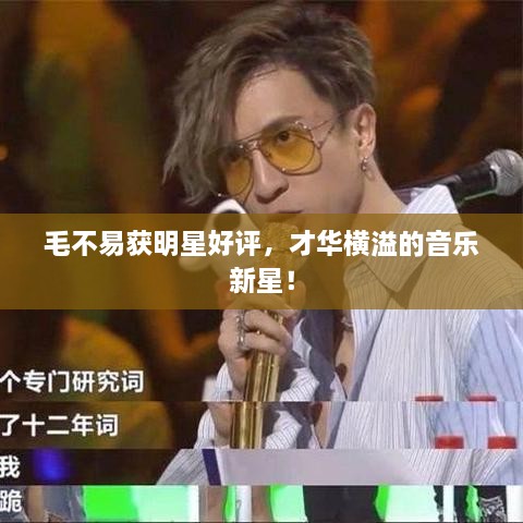 毛不易獲明星好評(píng)，才華橫溢的音樂(lè)新星！