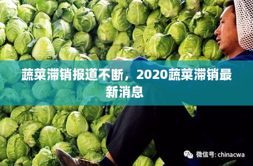 蔬菜滯銷(xiāo)報(bào)道不斷，2020蔬菜滯銷(xiāo)最新消息 