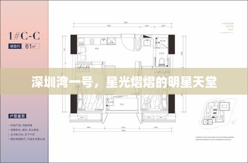深圳灣一號(hào)，星光熠熠的明星天堂