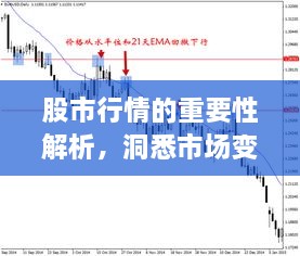 股市行情的重要性解析，洞悉市場(chǎng)變化的關(guān)鍵所在！