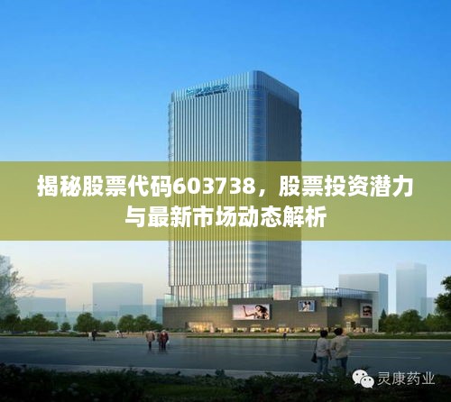 揭秘股票代碼603738，股票投資潛力與最新市場動態(tài)解析