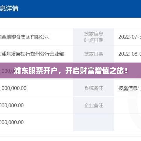 浦東股票開戶，開啟財(cái)富增值之旅！
