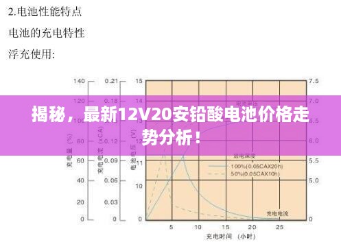 揭秘，最新12V20安鉛酸電池價格走勢分析！