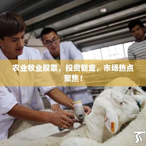 農(nóng)業(yè)牧業(yè)股票，投資新寵，市場(chǎng)熱點(diǎn)聚焦！