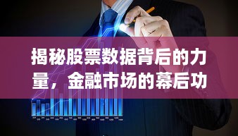 揭秘股票數據背后的力量，金融市場的幕后功臣