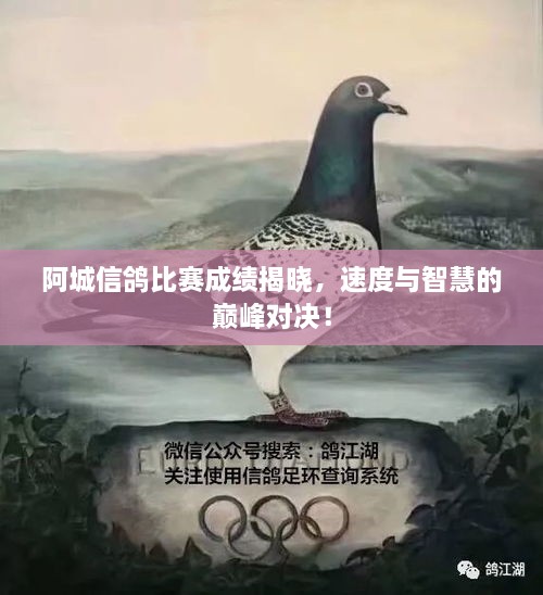 阿城信鴿比賽成績揭曉，速度與智慧的巔峰對決！