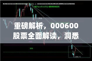 重磅解析，000600股票全面解讀，洞悉投資趨勢！