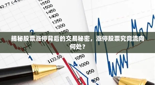 揭秘股票漲停背后的交易秘密，漲停股票究竟流向何處？