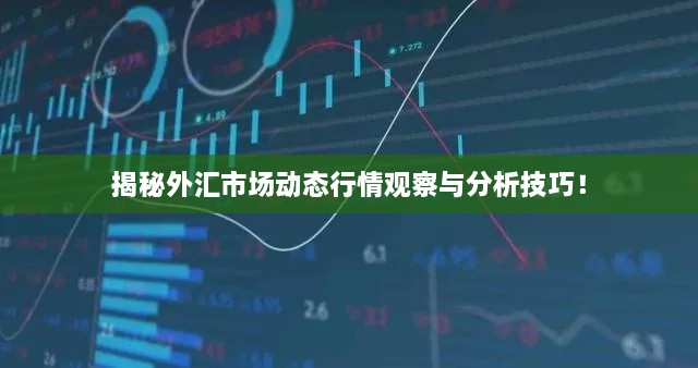 揭秘外匯市場動態(tài)行情觀察與分析技巧！