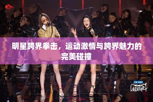 明星跨界拳擊，運動激情與跨界魅力的完美碰撞