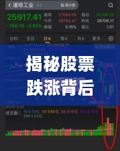揭秘股票跌漲背后的風(fēng)險(xiǎn)與策略，如何巧妙應(yīng)對(duì)股市波動(dòng)？