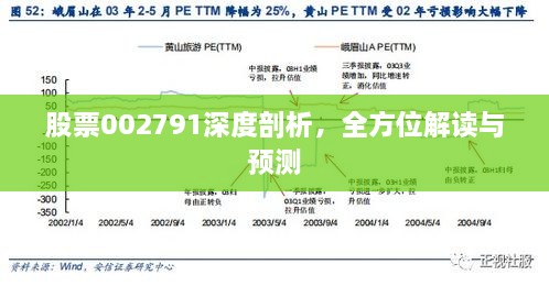 股票002791深度剖析，全方位解讀與預(yù)測(cè)