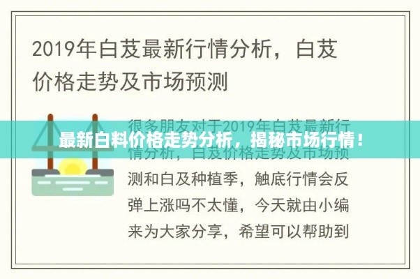 最新白料價格走勢分析，揭秘市場行情！