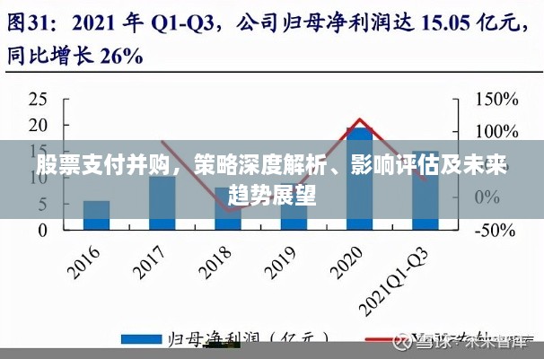 股票支付并購，策略深度解析、影響評估及未來趨勢展望