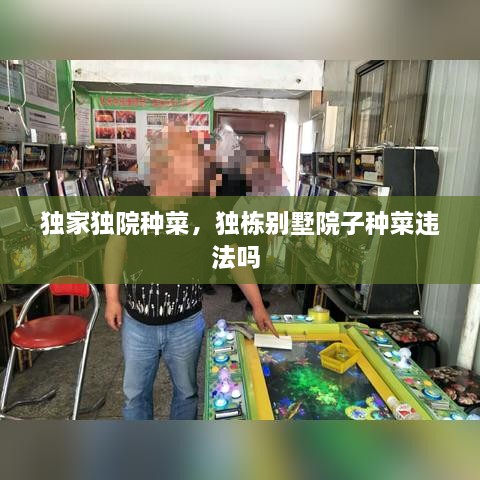 獨(dú)家獨(dú)院種菜，獨(dú)棟別墅院子種菜違法嗎 