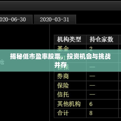 揭秘低市盈率股票，投資機(jī)會(huì)與挑戰(zhàn)并存