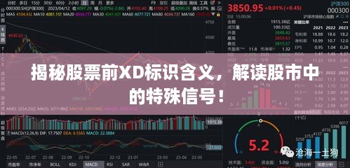 揭秘股票前XD標識含義，解讀股市中的特殊信號！