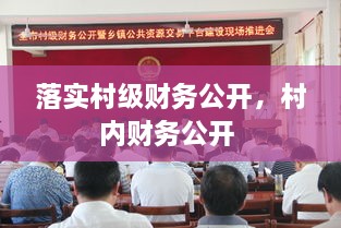 落實(shí)村級(jí)財(cái)務(wù)公開(kāi)，村內(nèi)財(cái)務(wù)公開(kāi) 