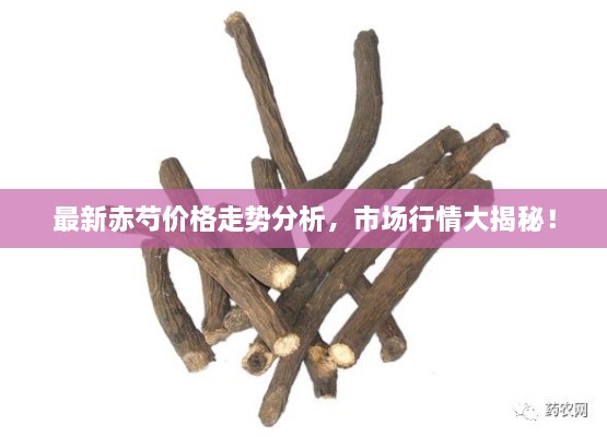 最新赤芍價格走勢分析，市場行情大揭秘！