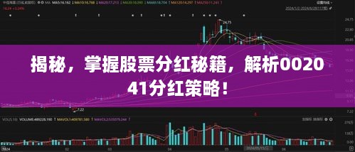 揭秘，掌握股票分紅秘籍，解析002041分紅策略！