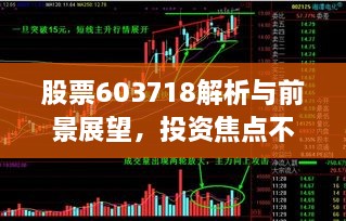 股票603718解析與前景展望，投資焦點(diǎn)不容錯(cuò)過