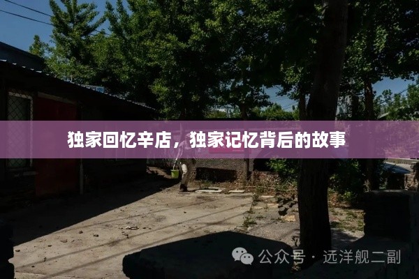 獨家回憶辛店，獨家記憶背后的故事 