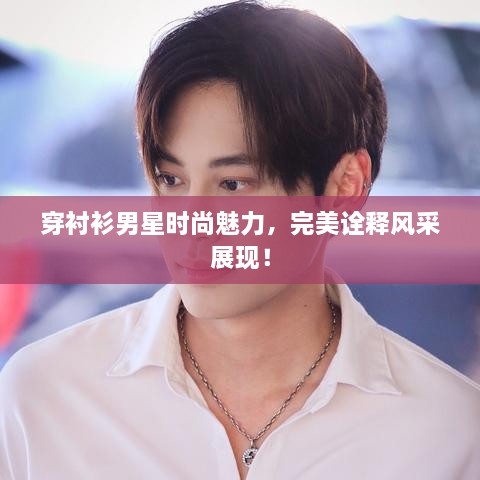 穿襯衫男星時尚魅力，完美詮釋風(fēng)采展現(xiàn)！