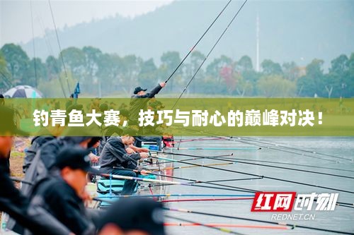 釣青魚大賽，技巧與耐心的巔峰對決！