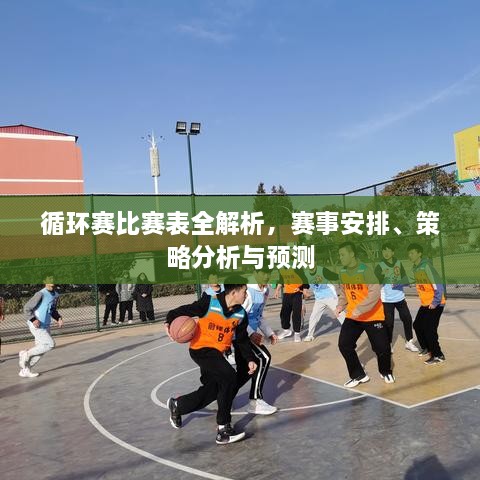 循環(huán)賽比賽表全解析，賽事安排、策略分析與預(yù)測